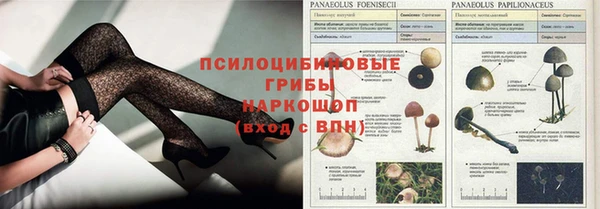 альфа пвп Касимов