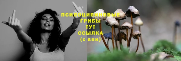 альфа пвп Касимов