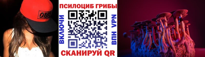 Купить  Микунь  Галлюциногенные грибы мицелий 